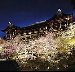 清水寺ライトアップphoto