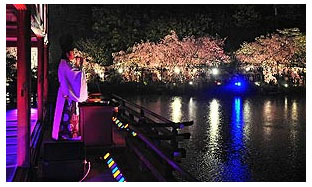 平安神宮ライトアップphoto