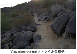 trail